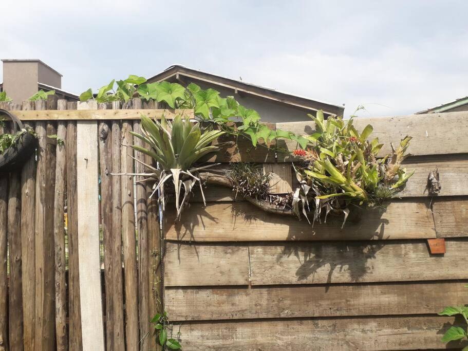 Casa Proximo A Praias, Trilhas E Cachoeiras. Garopaba Eksteriør billede