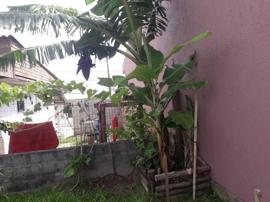 Casa Proximo A Praias, Trilhas E Cachoeiras. Garopaba Eksteriør billede