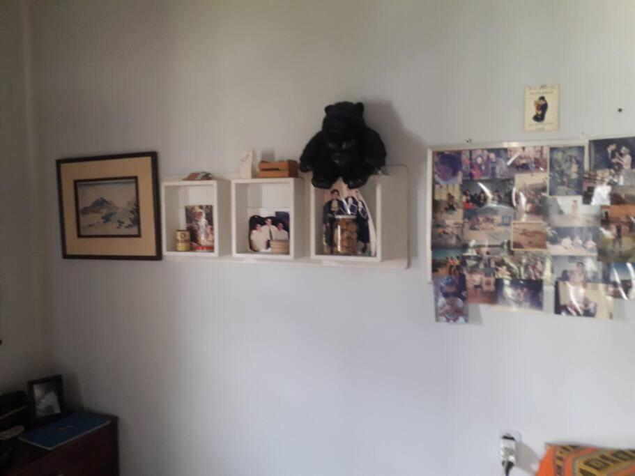Casa Proximo A Praias, Trilhas E Cachoeiras. Garopaba Eksteriør billede