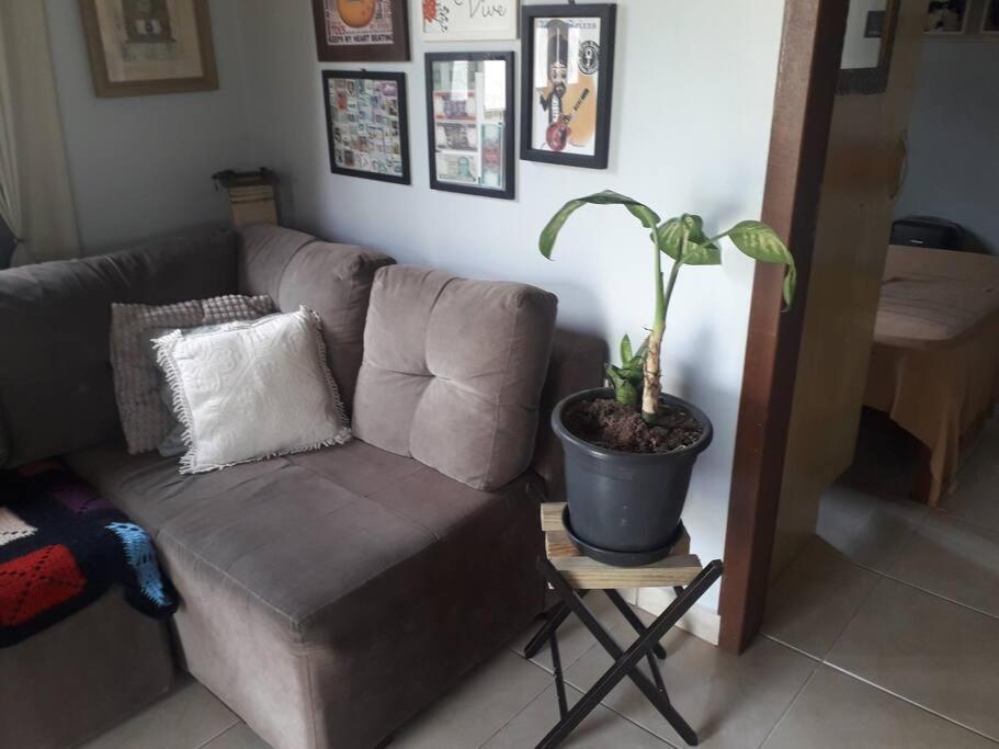 Casa Proximo A Praias, Trilhas E Cachoeiras. Garopaba Eksteriør billede